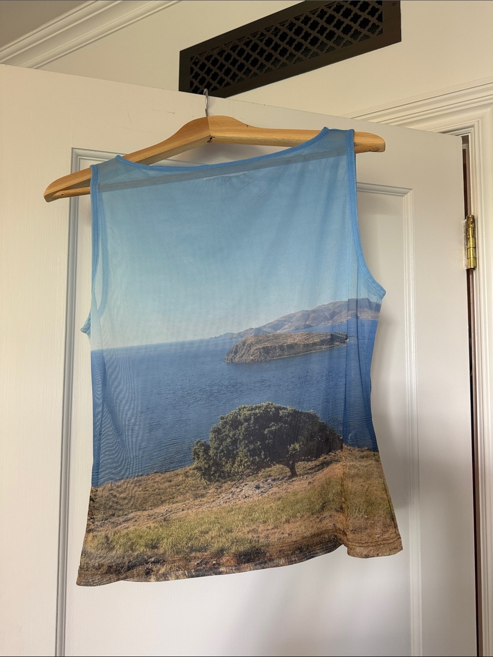 Scenic Coastal Print Sheer Blue Tank Top